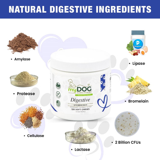 Gut Garden Digestive Support