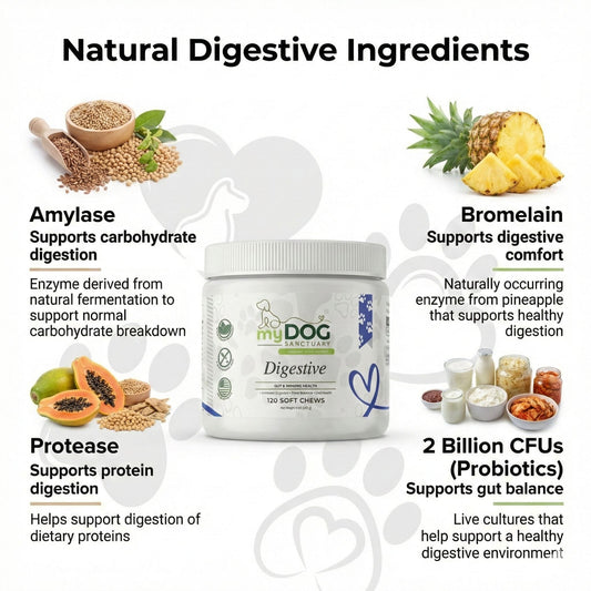 Gut Garden Digestive Support Chews