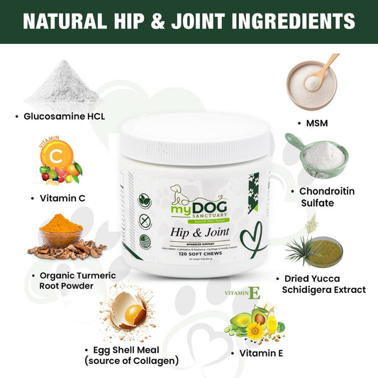 Sacred Steps Hip & Joint Formula