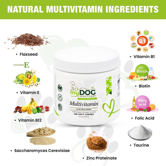 Sanctuary Strength Multivitamin Chews