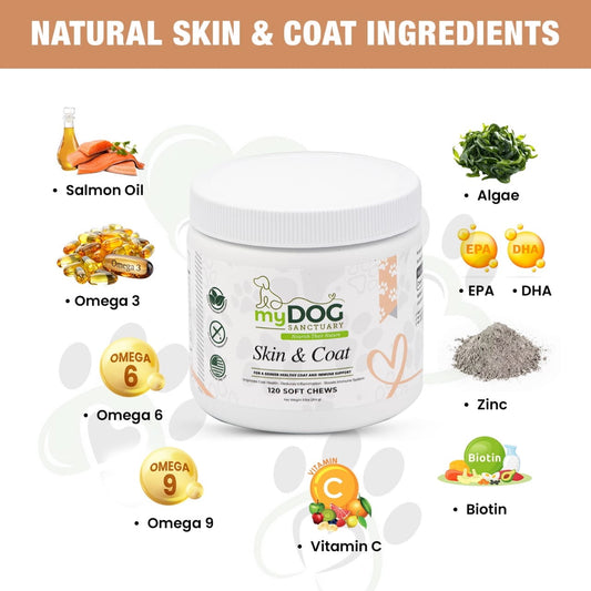 Radiant Refuge Skin & Coat Chews