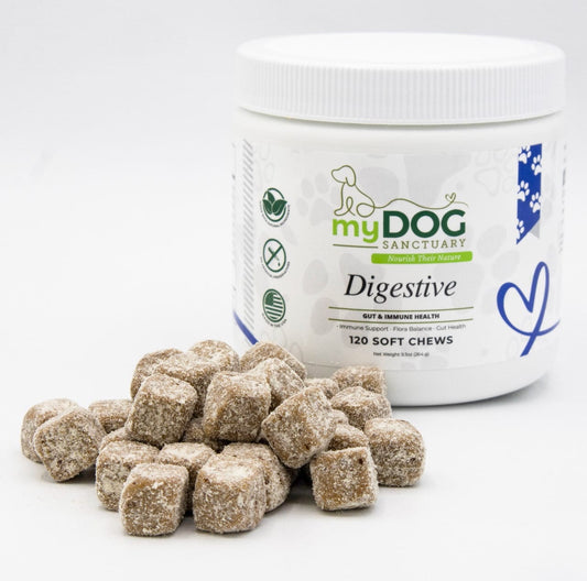 Gut Garden Digestive Support