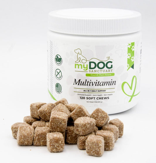 Sanctuary Strength Multivitamin Chews