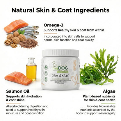 Super Saver Bundle - Buy 4, Get 1 FREE!